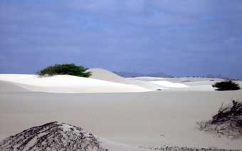 Zöld-foki szigetek fehér homokos Viana sivatag