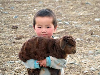 nomád mongol kisfiú kecskével