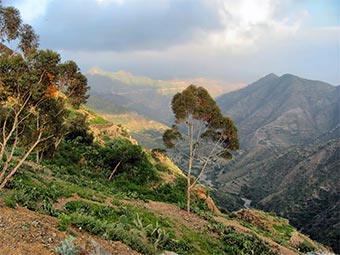 Eritreai táj